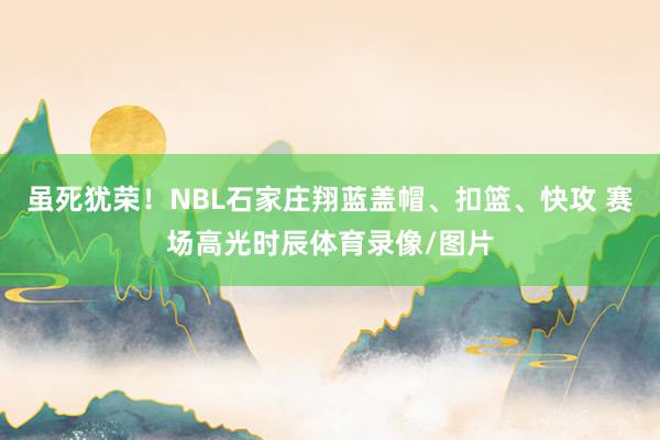 虽死犹荣！NBL石家庄翔蓝盖帽、扣篮、快攻 赛场高光时辰体育录像/图片
