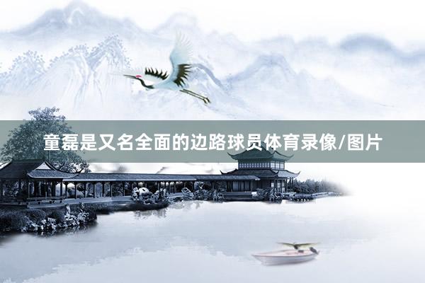 童磊是又名全面的边路球员体育录像/图片