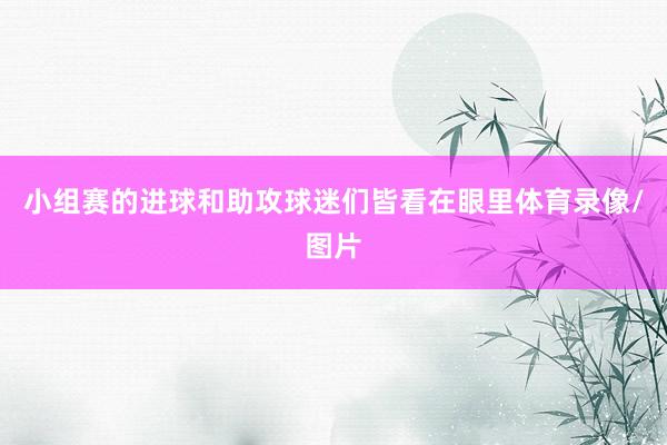小组赛的进球和助攻球迷们皆看在眼里体育录像/图片