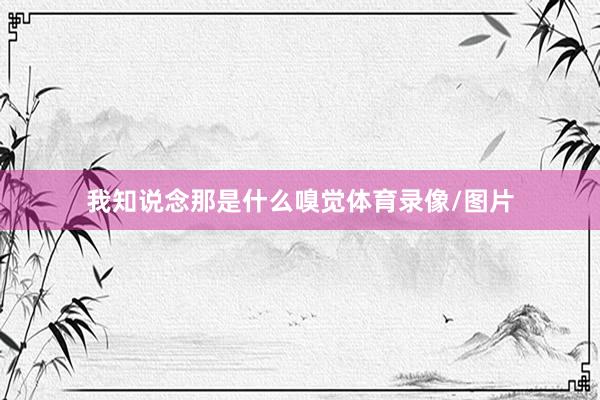 我知说念那是什么嗅觉体育录像/图片