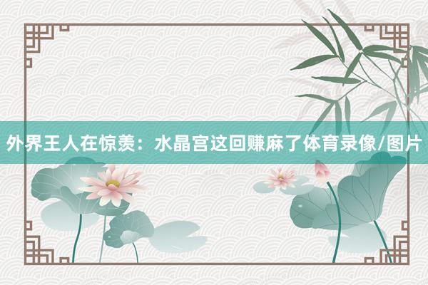 外界王人在惊羡：水晶宫这回赚麻了体育录像/图片